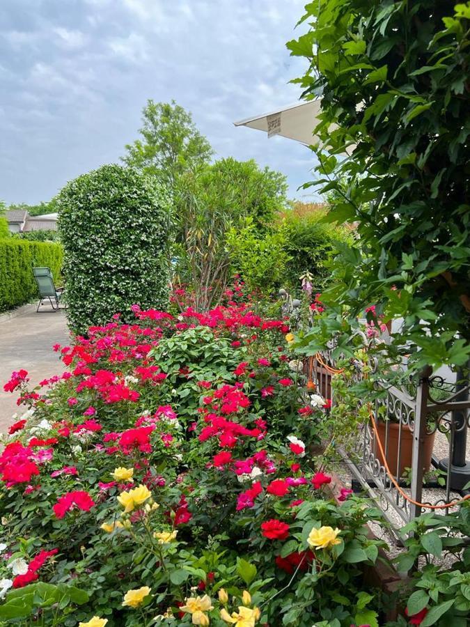 Casa Serenella B&B - Casa Vacanze بيازولا سول برينتا المظهر الخارجي الصورة