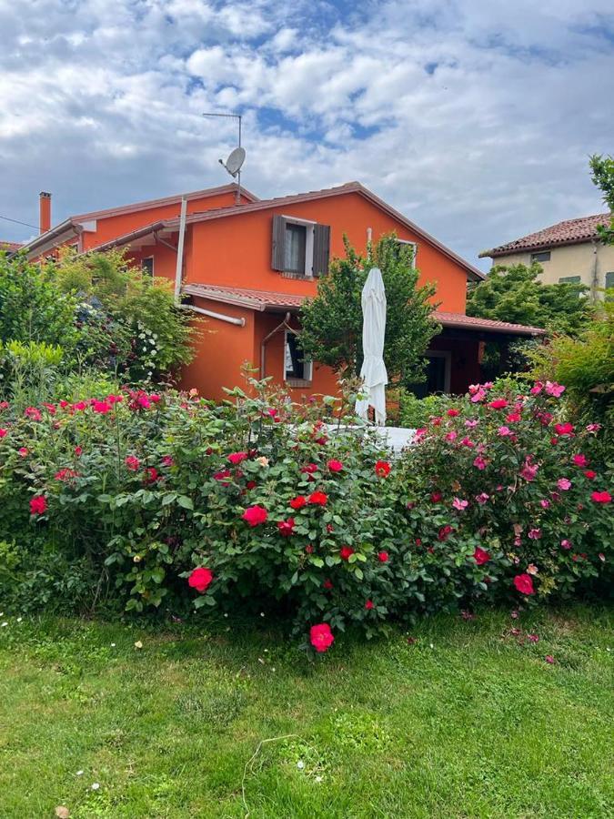 Casa Serenella B&B - Casa Vacanze بيازولا سول برينتا المظهر الخارجي الصورة
