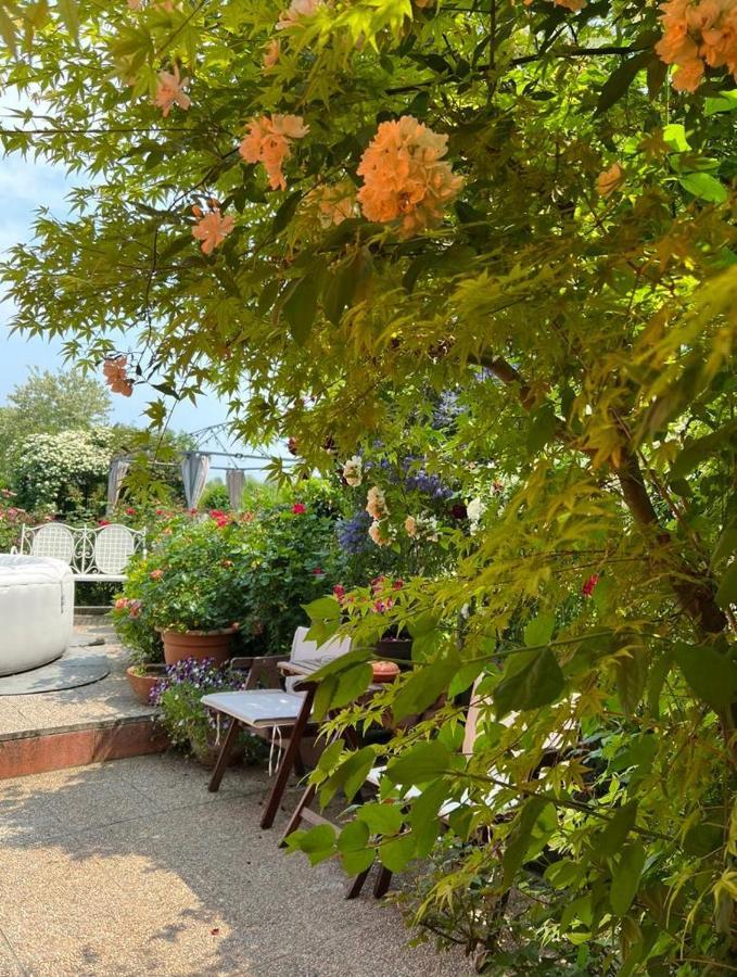 Casa Serenella B&B - Casa Vacanze بيازولا سول برينتا المظهر الخارجي الصورة