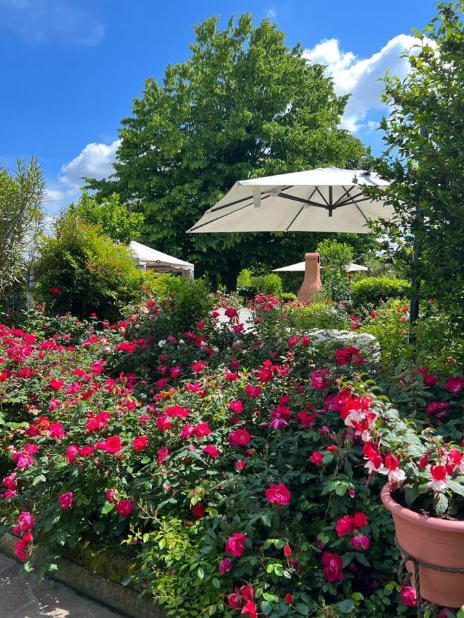 Casa Serenella B&B - Casa Vacanze بيازولا سول برينتا المظهر الخارجي الصورة